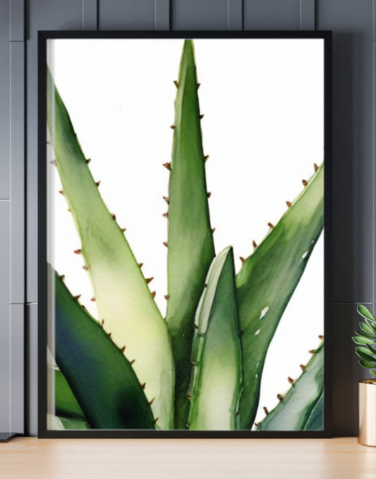 Aloe Vera Illustrated Plant A4 Black Frame