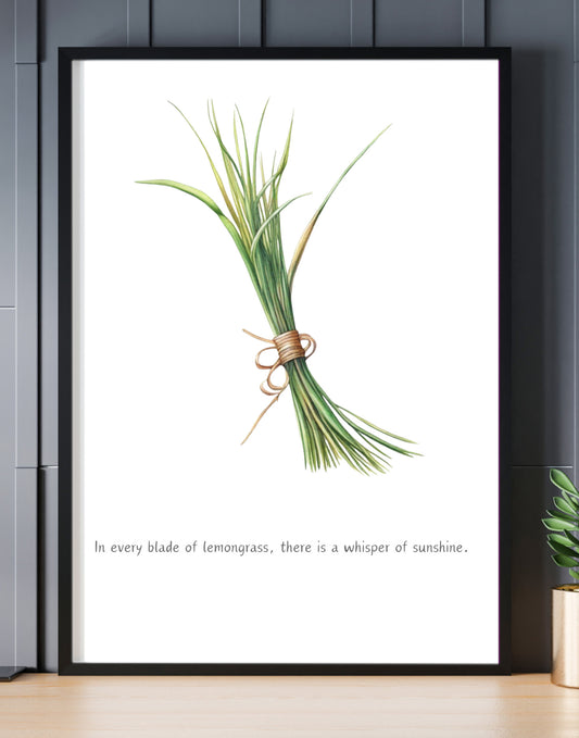 Lemon Grass Illustrated print A4 Black frame