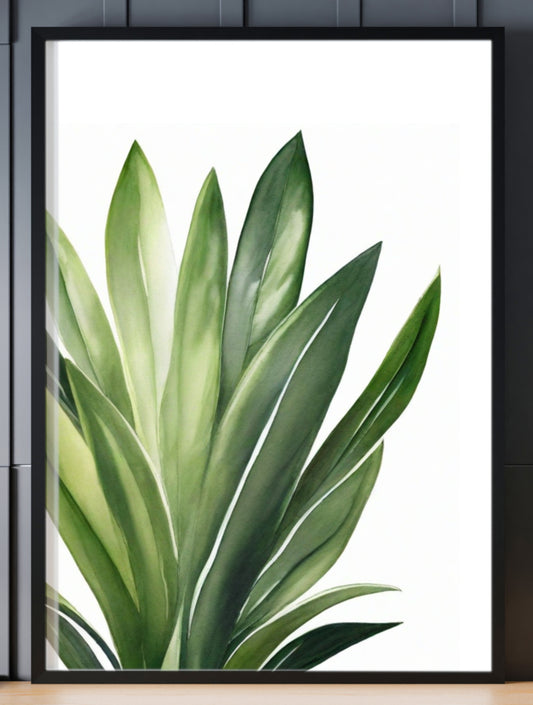 Snake Plant Illustrated print A4 Black frame