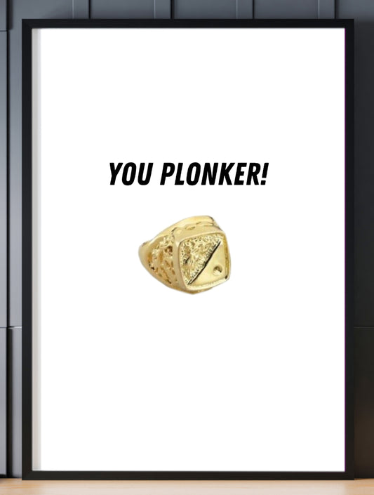 You Plonker! Print. A4 Black Frame.